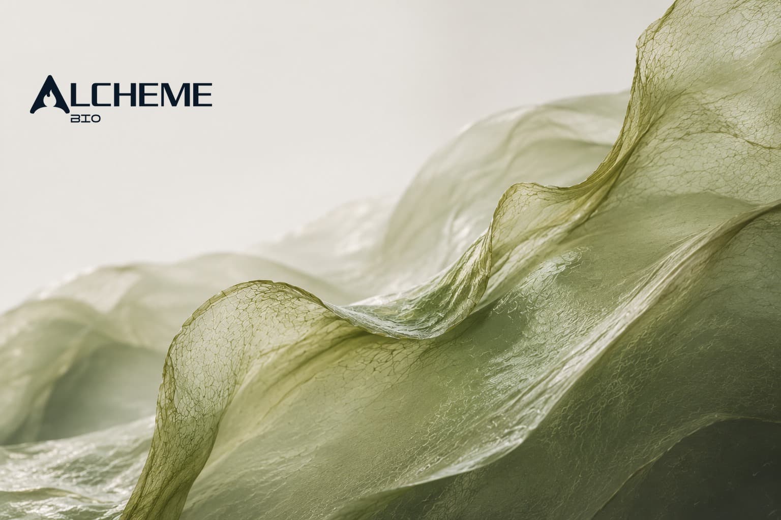 Alcheme Bio Inc. hero photo