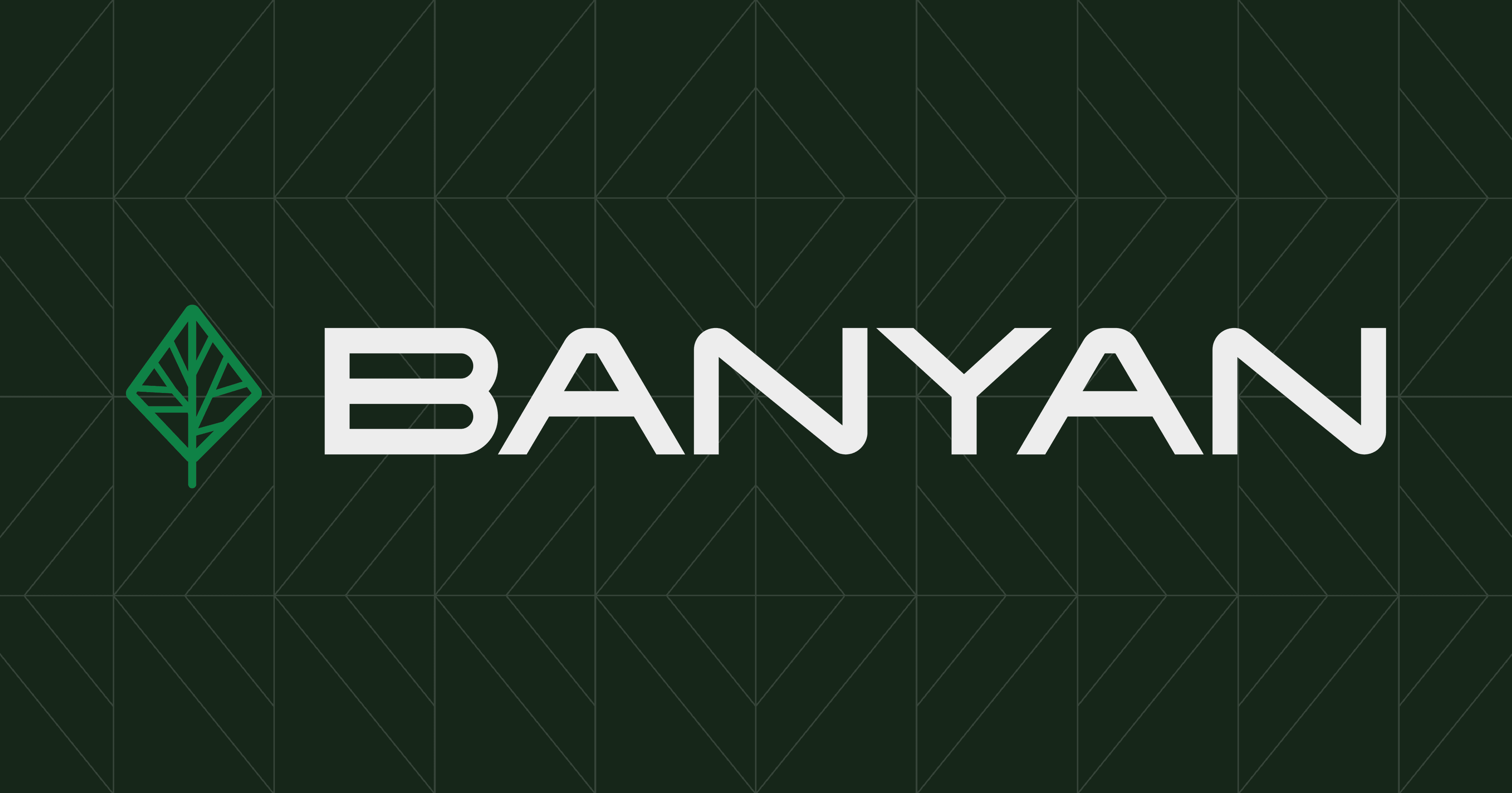 Banyan Newco LLC hero photo