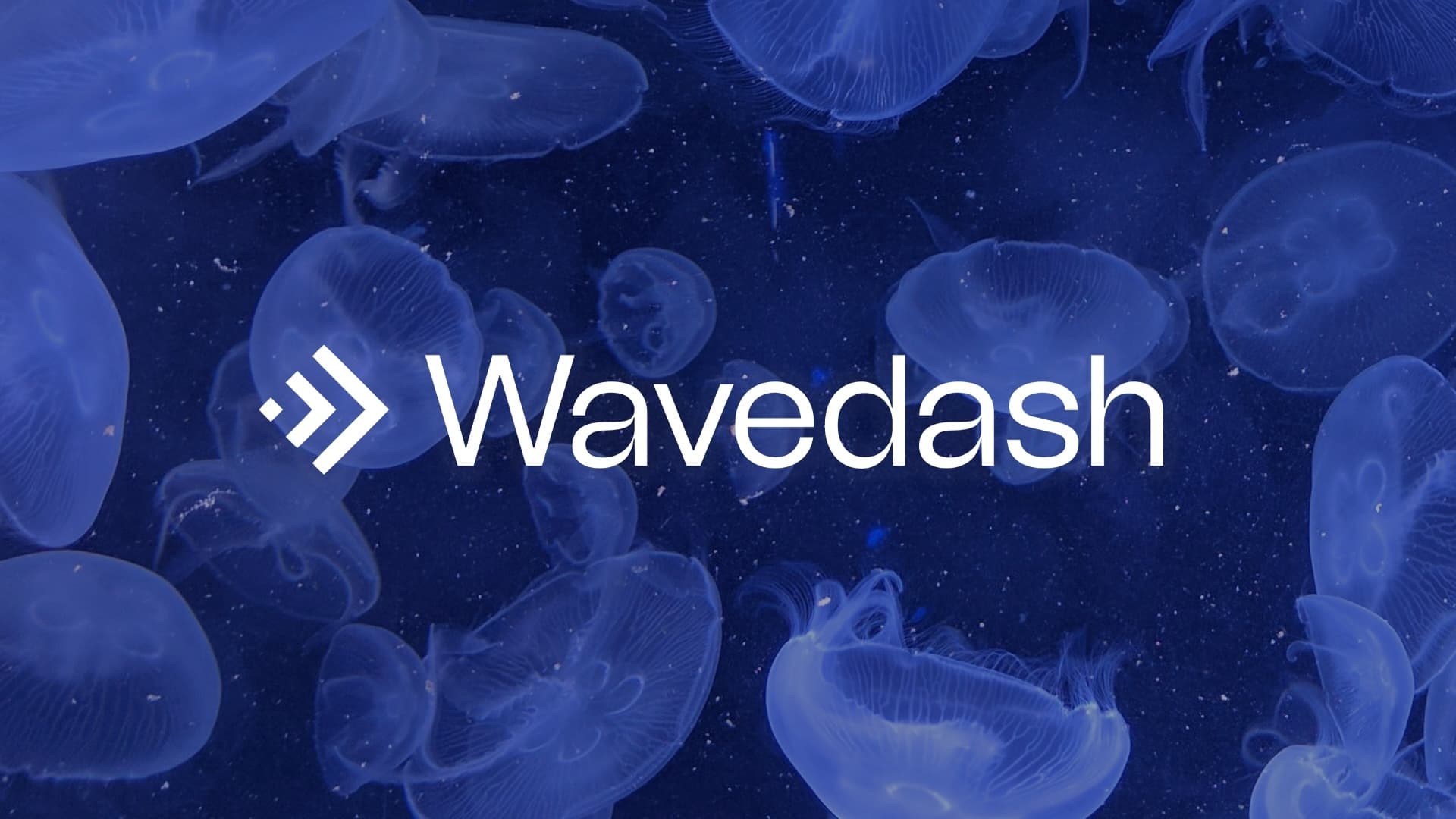 Wavedash hero photo