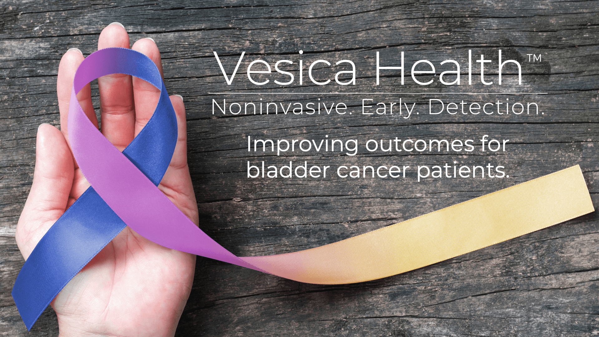 Vesica Health, Inc. hero photo