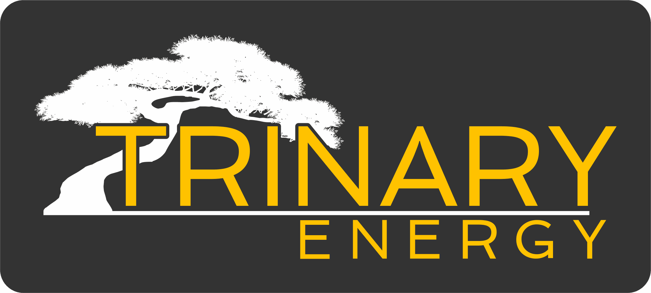Trinary Solar Group VIII LLC hero photo